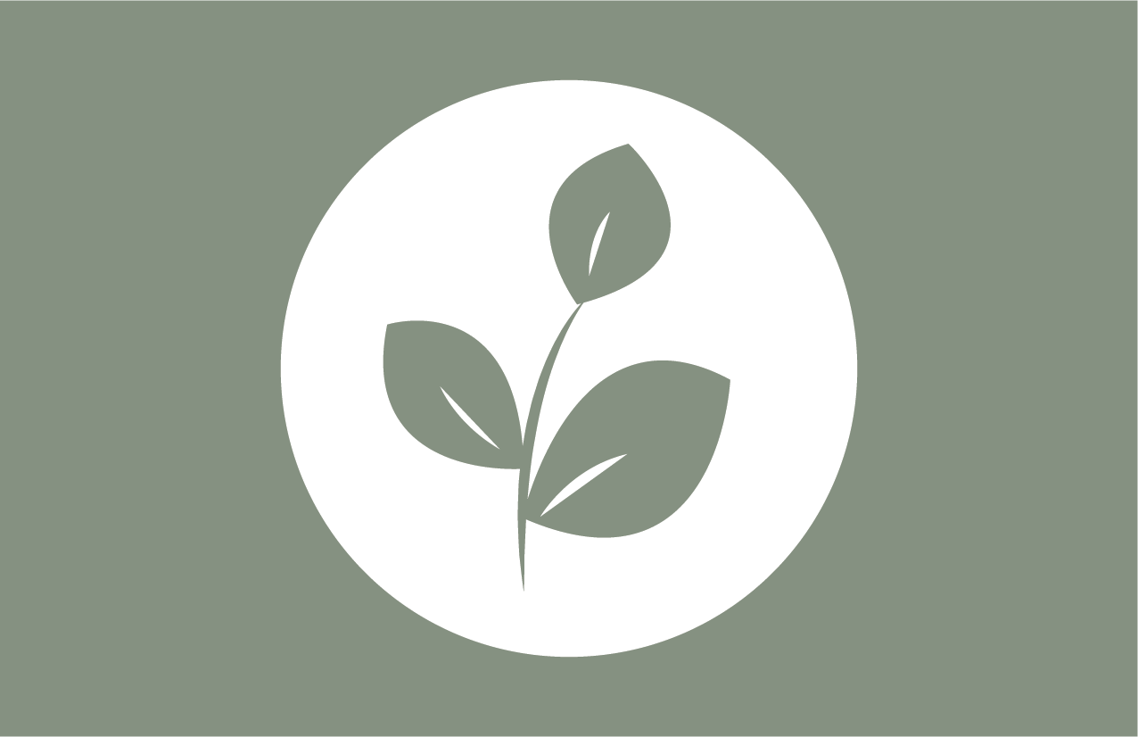 Olive Tree Family Services Logo Concepts